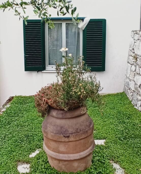 La Piazzetta Di Gra E Baldo Apartment Сестри Леванте Екстериор снимка
